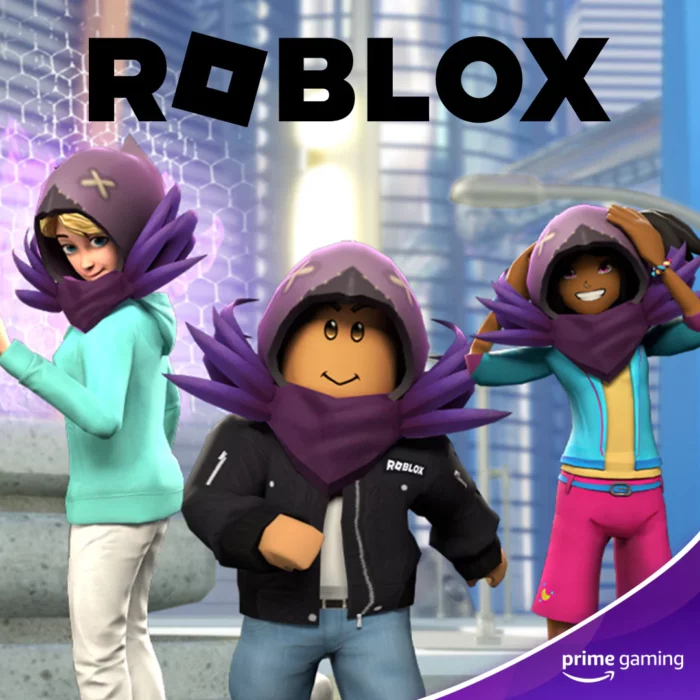 โค้ดเกม Roblox - Raven Hunter Hood - Image 2