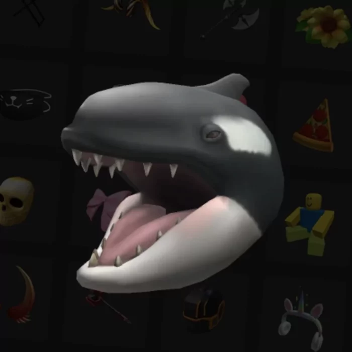 โค้ดเกม Roblox - Hungry Orca - Image 3